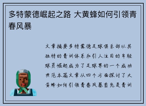 多特蒙德崛起之路 大黄蜂如何引领青春风暴